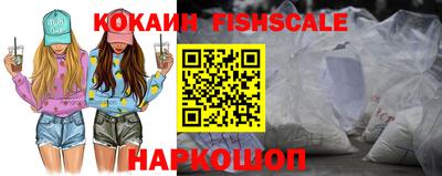 шишки Камышлов