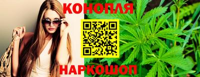 гидра Кинель