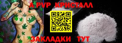 шишки Камышлов