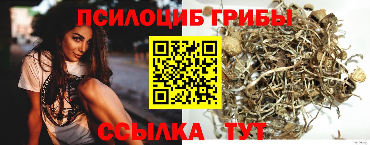 закладки  Вход с VPN  Псилоцибиновые грибы Cubensis  Коркино  Псилоцибиновые грибы мухоморы 